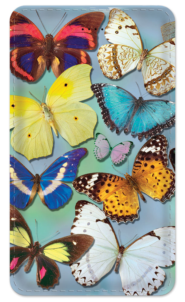 Butterflies on Blue - #116
