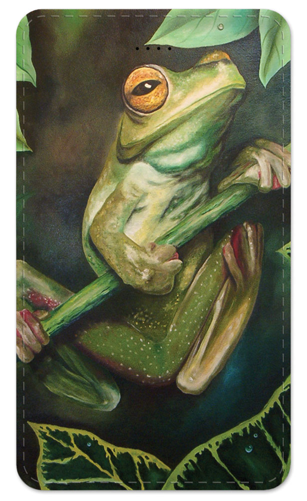 Yellow Eyed Tree Frog - #462