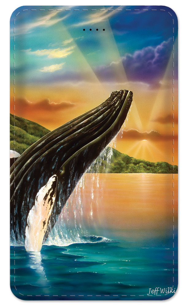 Humpback Whales - #660