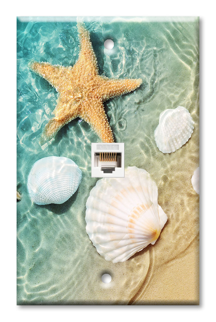 Sea Shells and Star Fish in Ocean Beach Tide Pool - #8777