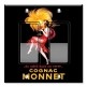 Printed Decora 2 Gang Rocker Style Switch with matching Wall Plate - Cognac Monnet