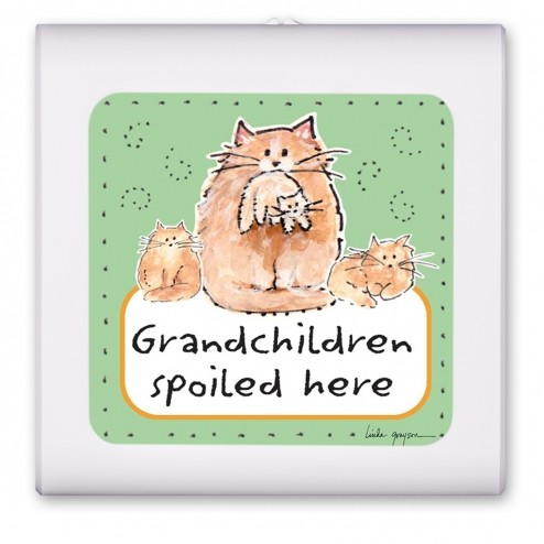 Grandchildren Spoiled Here - #377