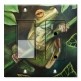 Printed 2 Gang Decora Switch - Outlet Combo with matching Wall Plate - Yellow Eyed Tree Frog