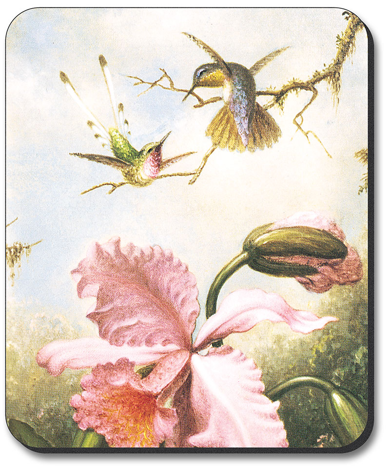Heade: Orchids and Hummingbirds - #101