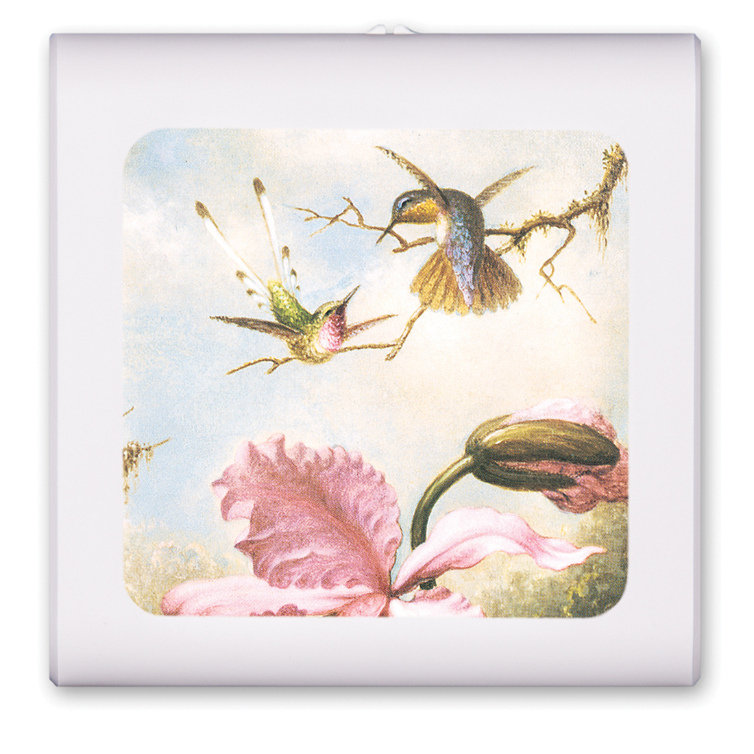 Heade: Orchids and Hummingbirds - #101