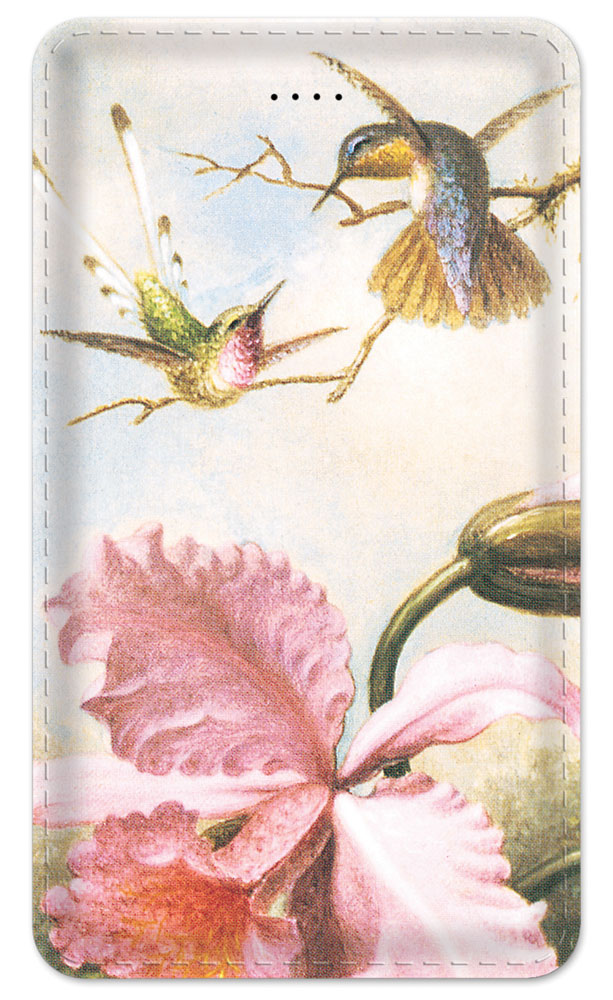 Heade: Orchids and Hummingbirds - #101