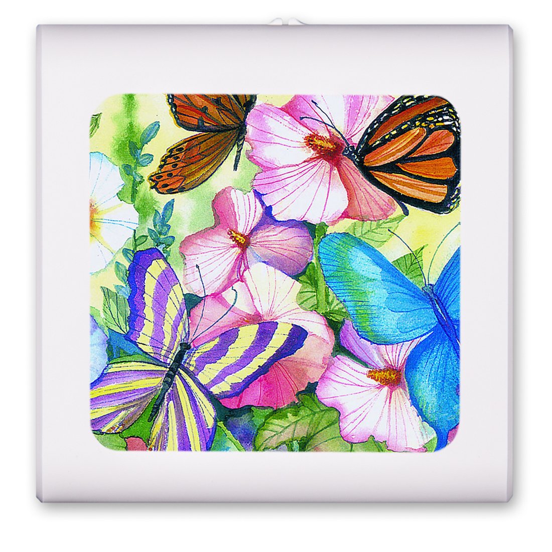 Garden Butterflies - #104