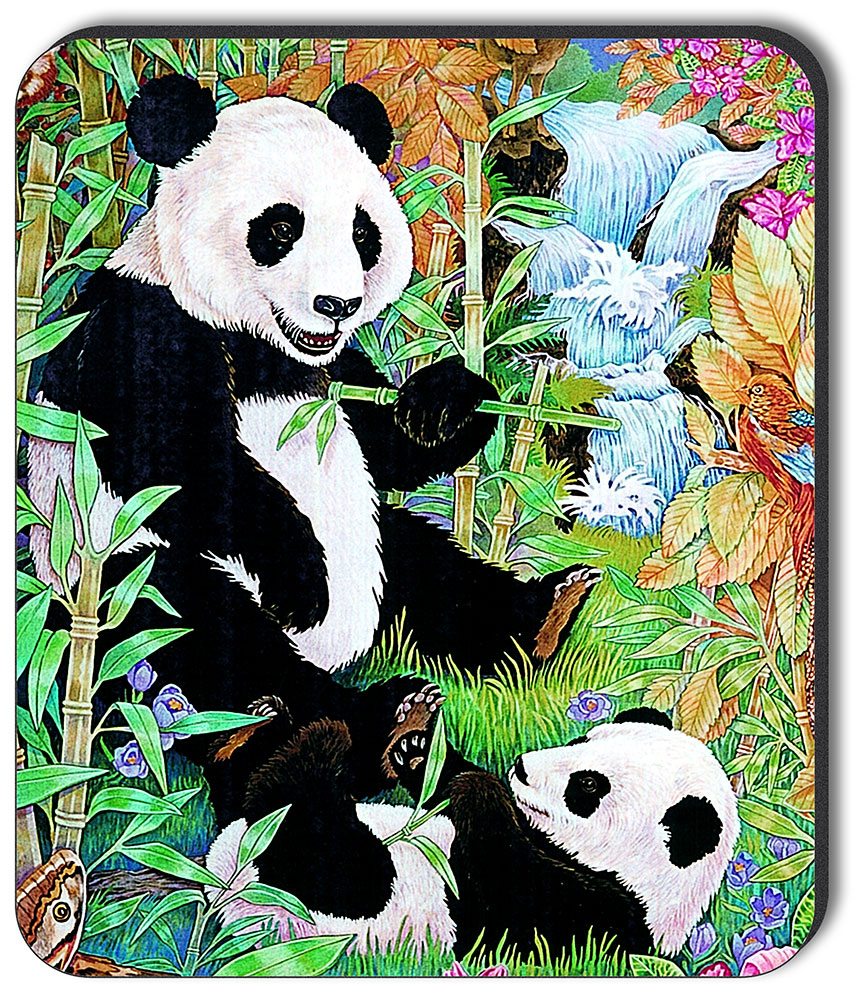 Pandas - #120