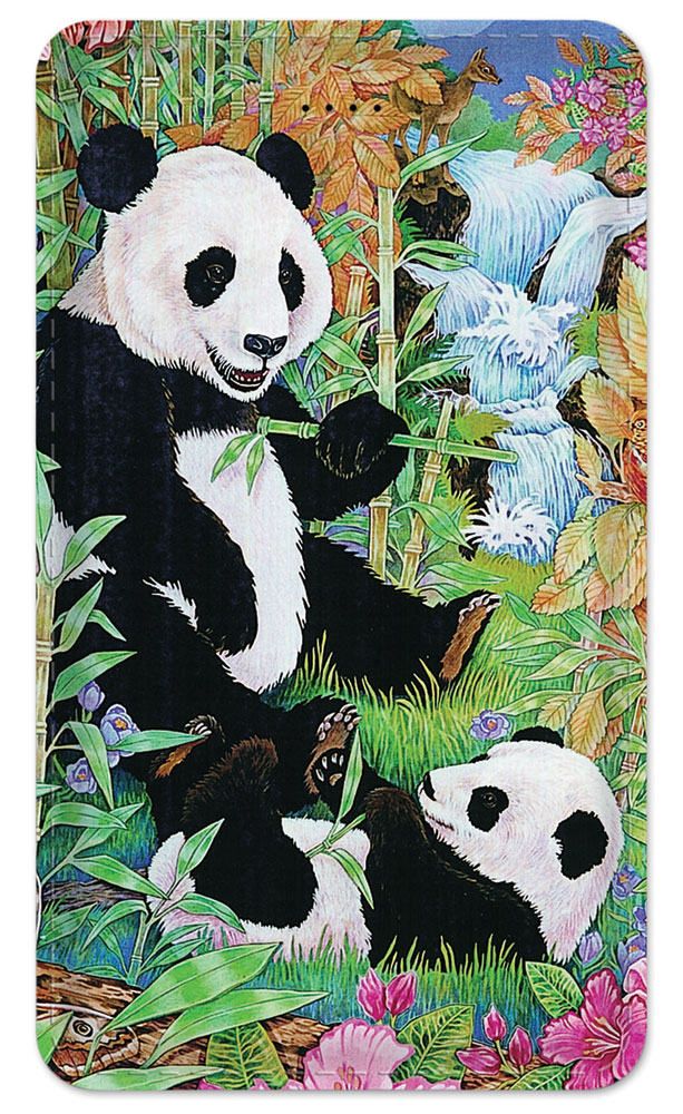 Pandas - #120