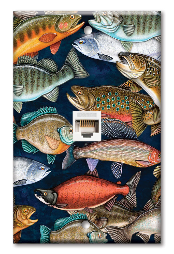 Fresh Water Fish - Image by Dan Morris - #1212