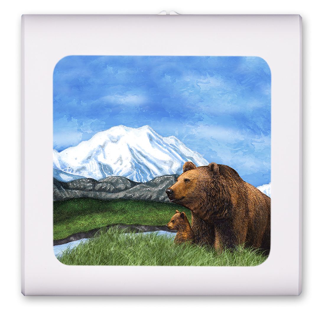 Bear and Cub - #1217