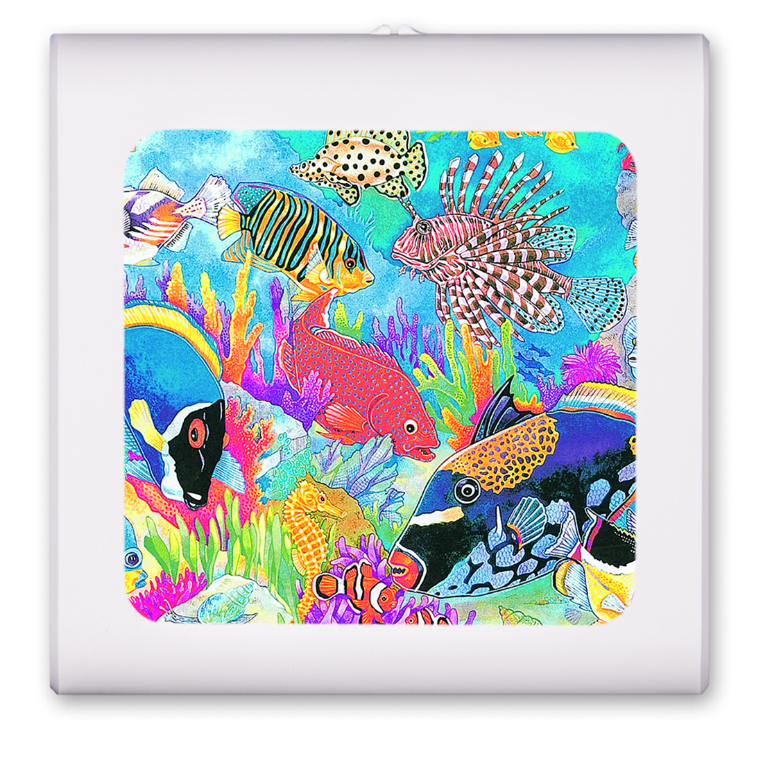 Coral Reef - #123