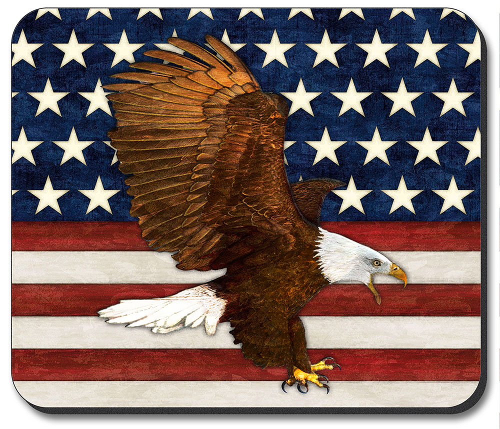 American Flag Eagle - #1246