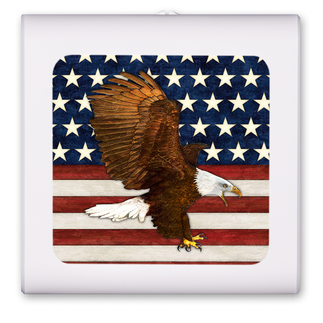American Flag Eagle - #1246