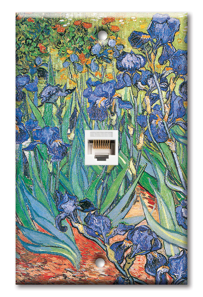 Van Gogh: Irises - #13