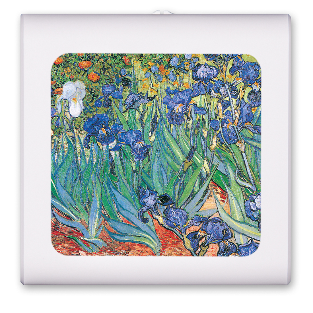 Van Gogh: Irises - #13