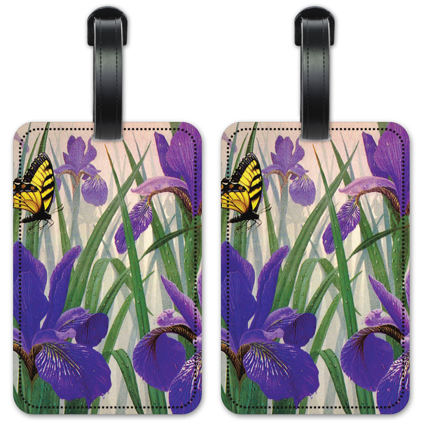 Butterfly in Irises - #137