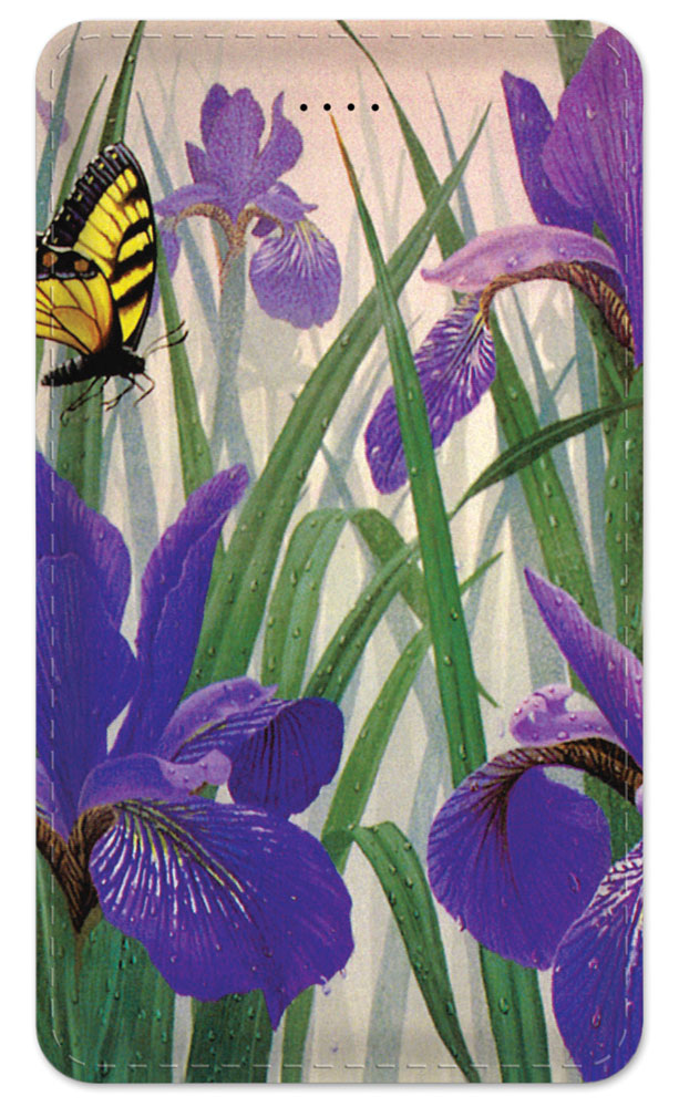 Butterfly in Irises - #137