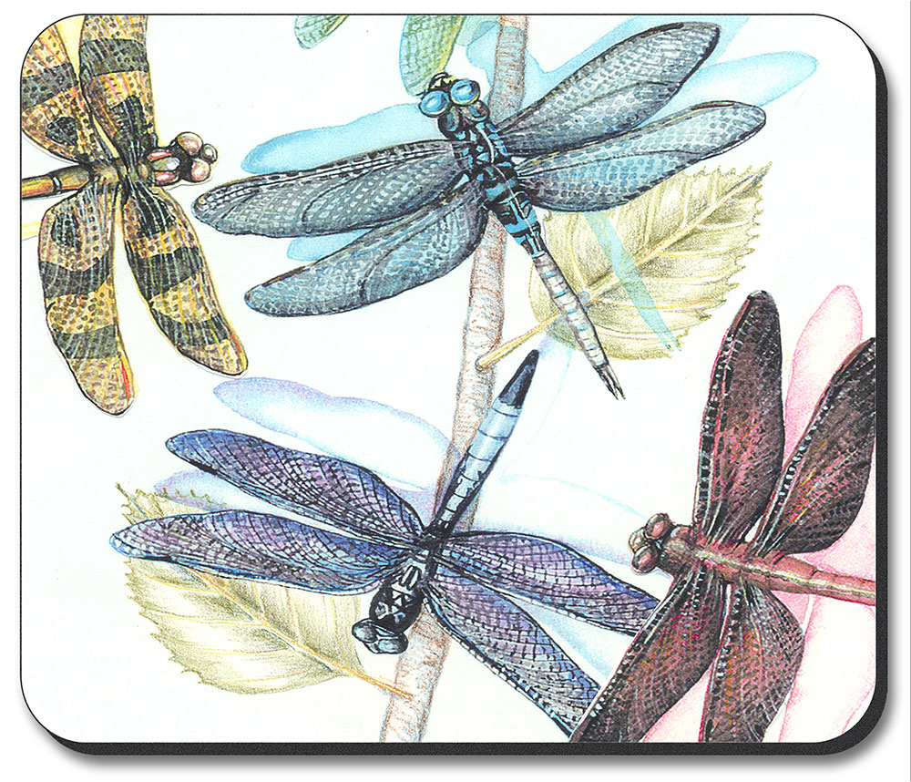 Dragonflies - #139