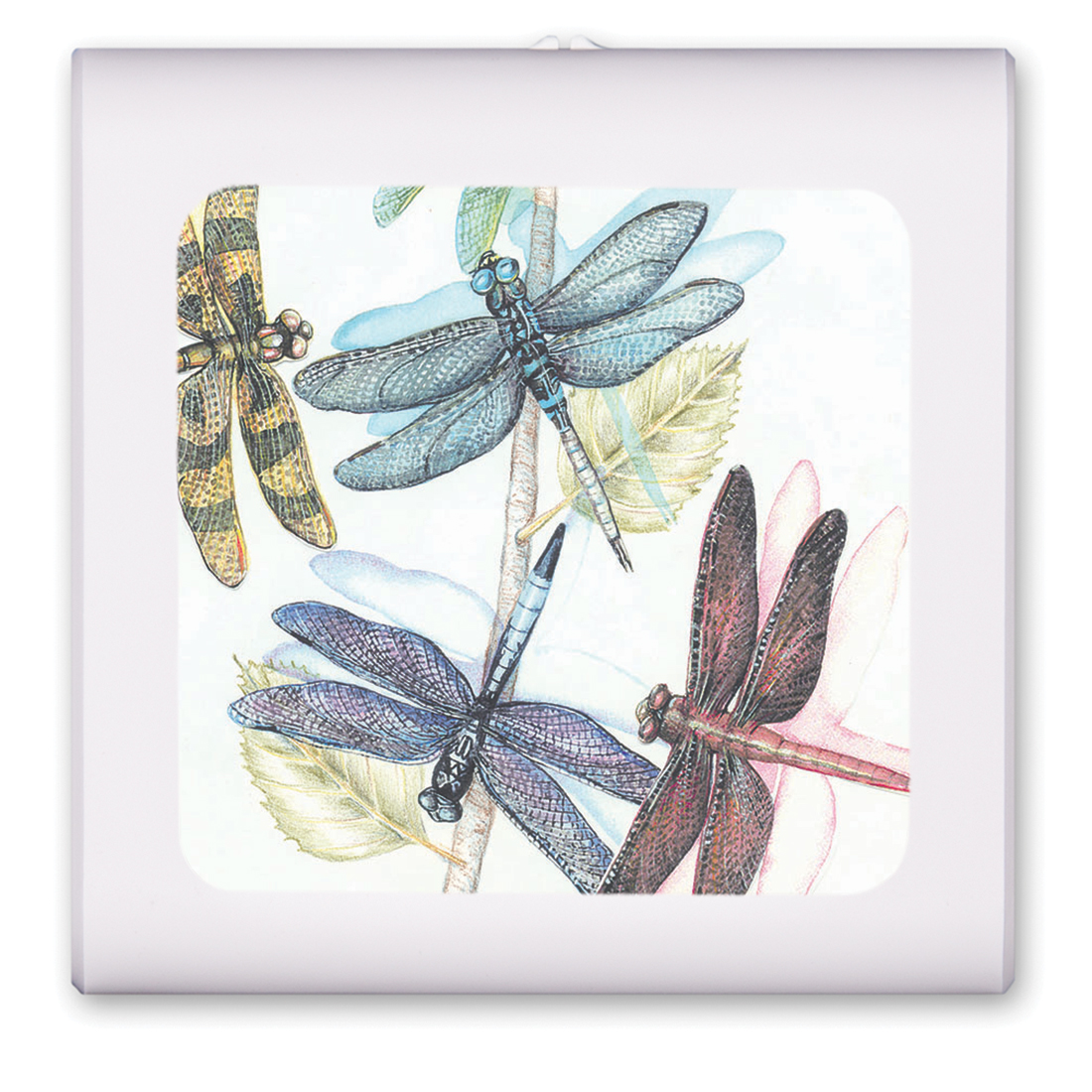 Dragonflies - #139