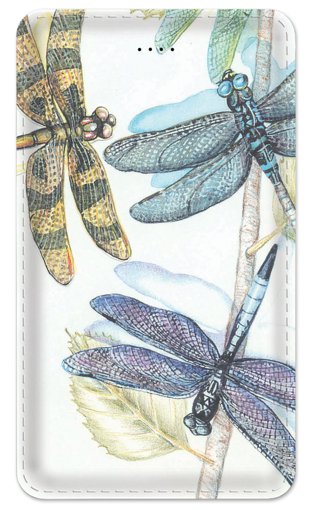 Dragonflies - #139