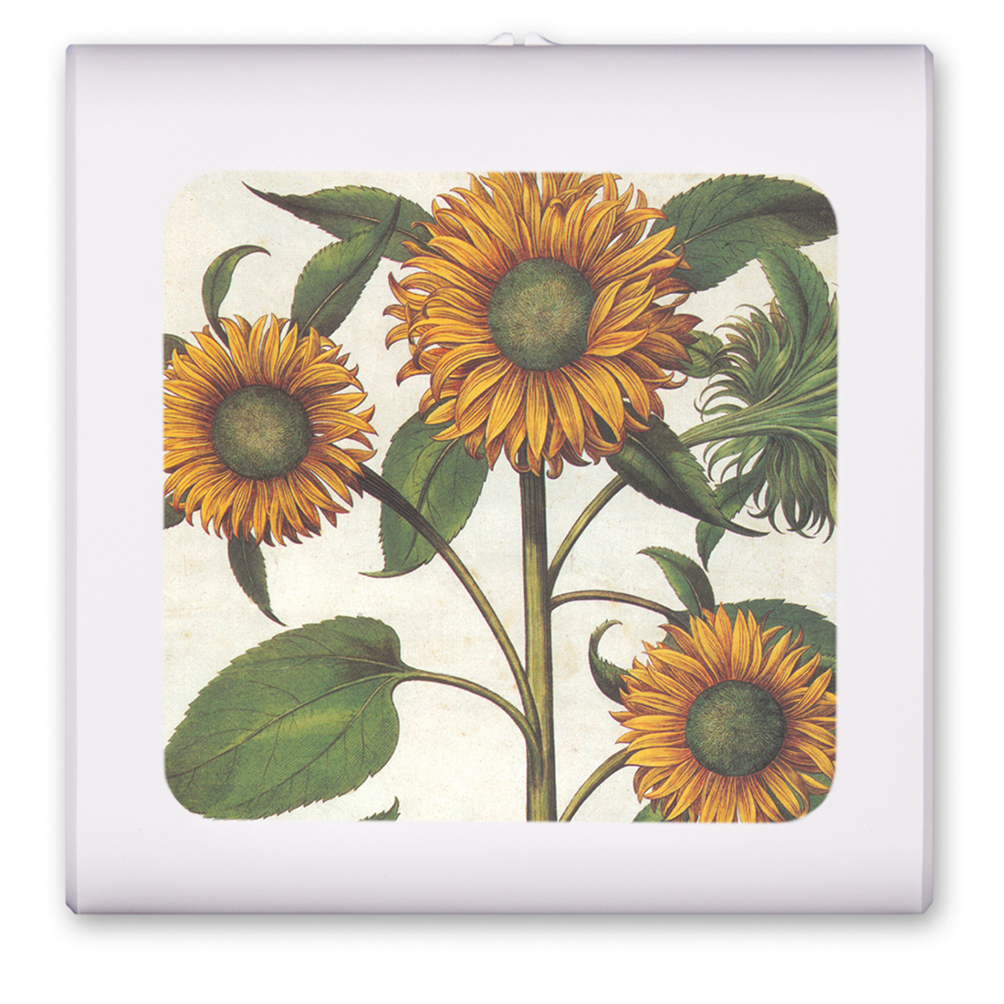 Sunflowers - #140