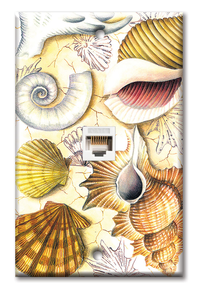 Shell Collection - #156