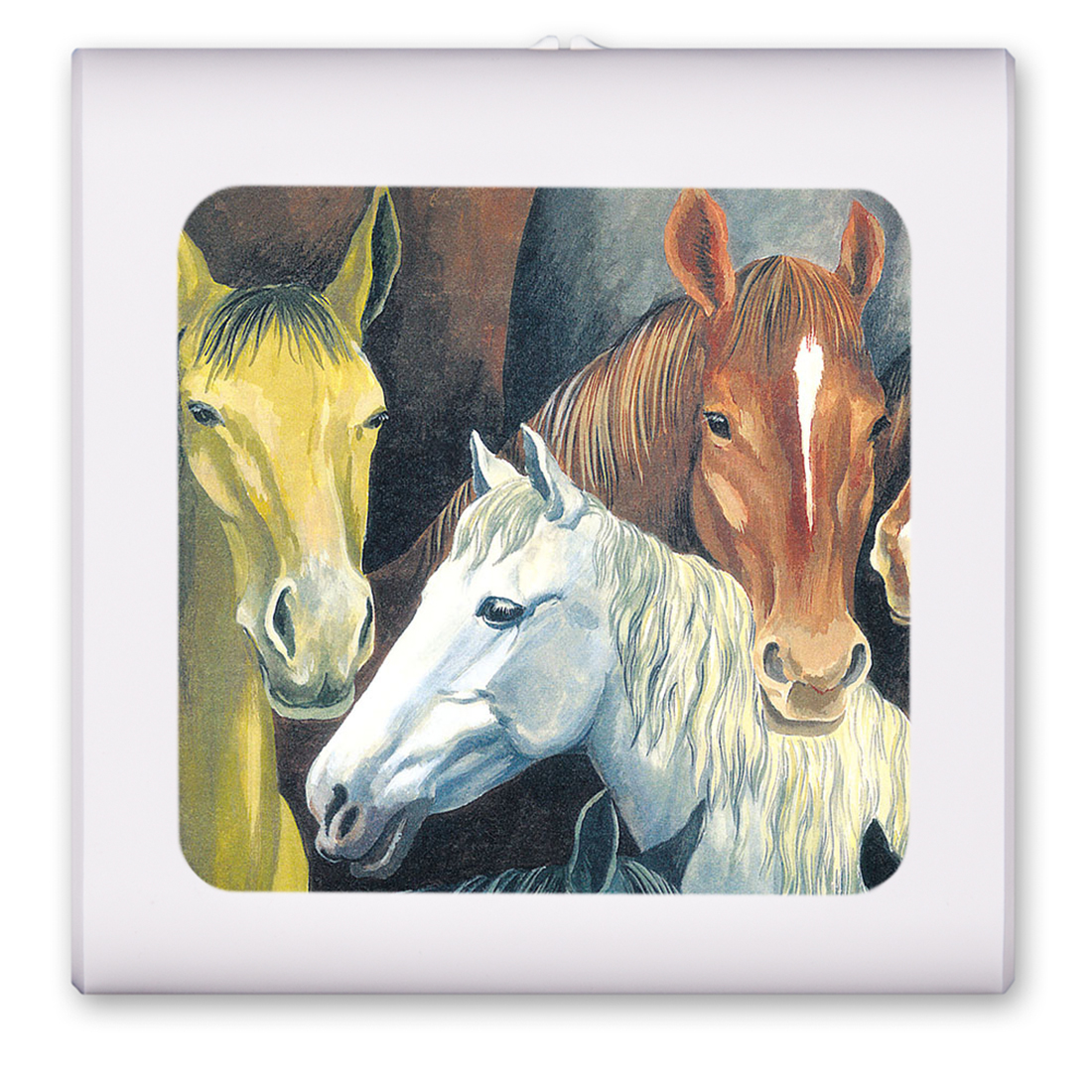 Horses - #162