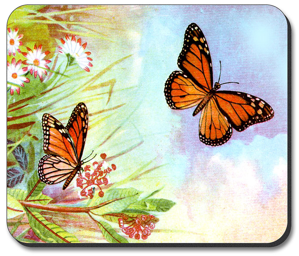 Butterflies and Flowers - #178