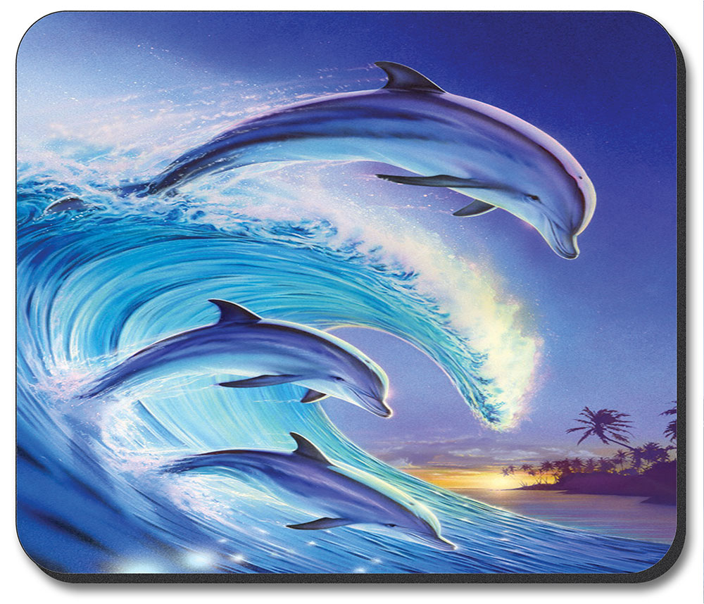 Dolphins in the Wave - #227