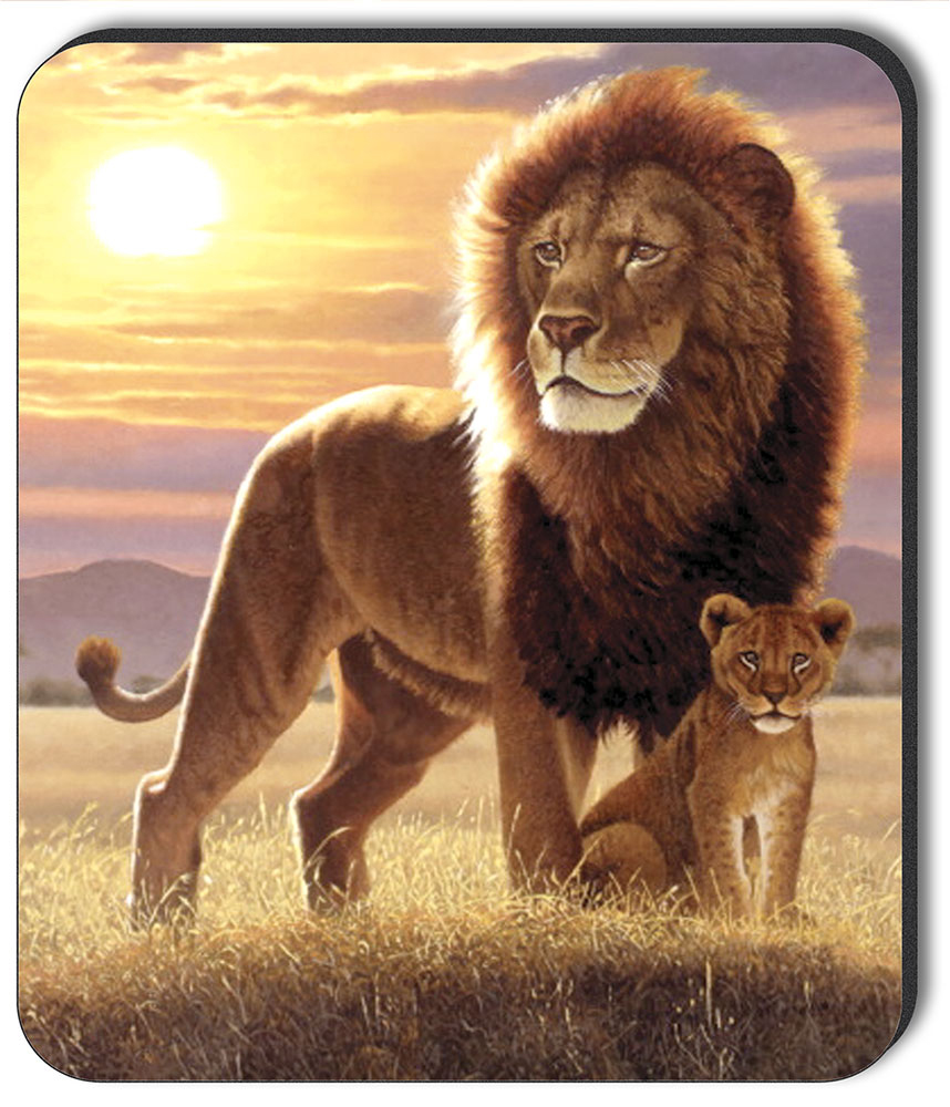 Lion and Cub - #243