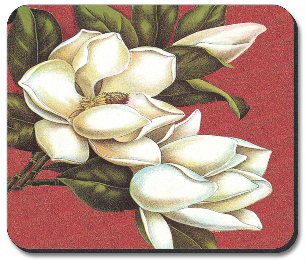 Magnolias - #244