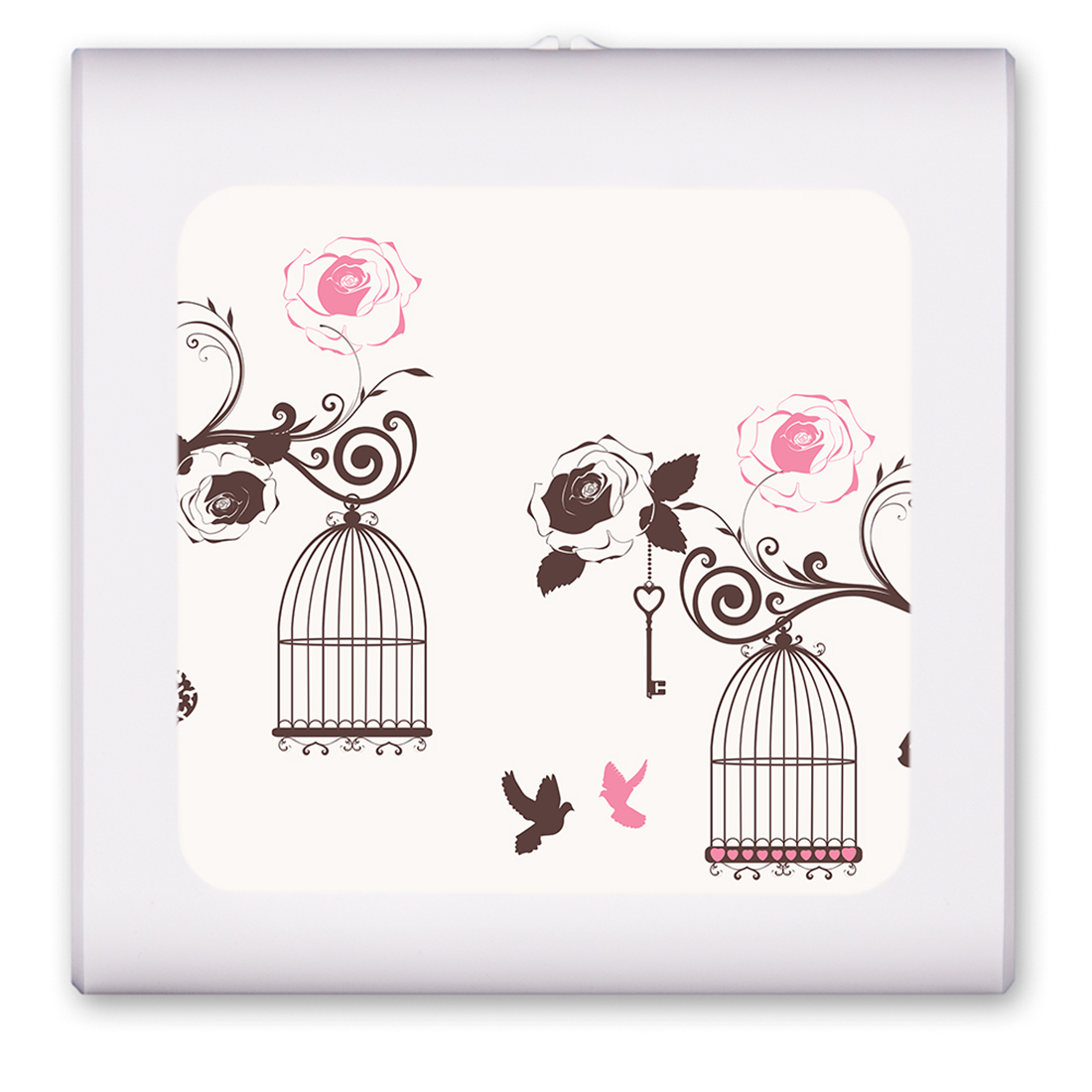 Bird Cages - #2542