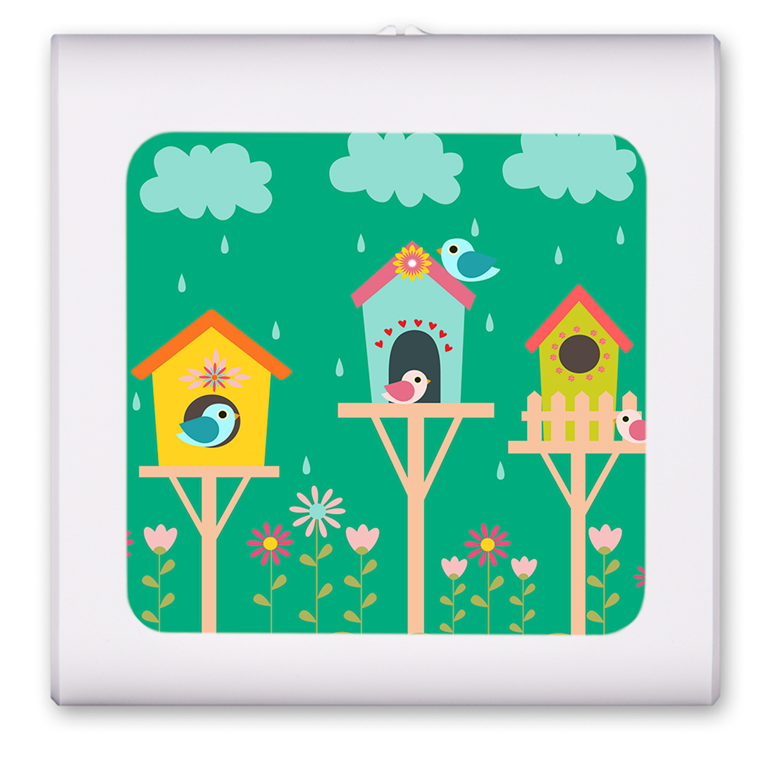 Bird Houses in The Rain - #2554