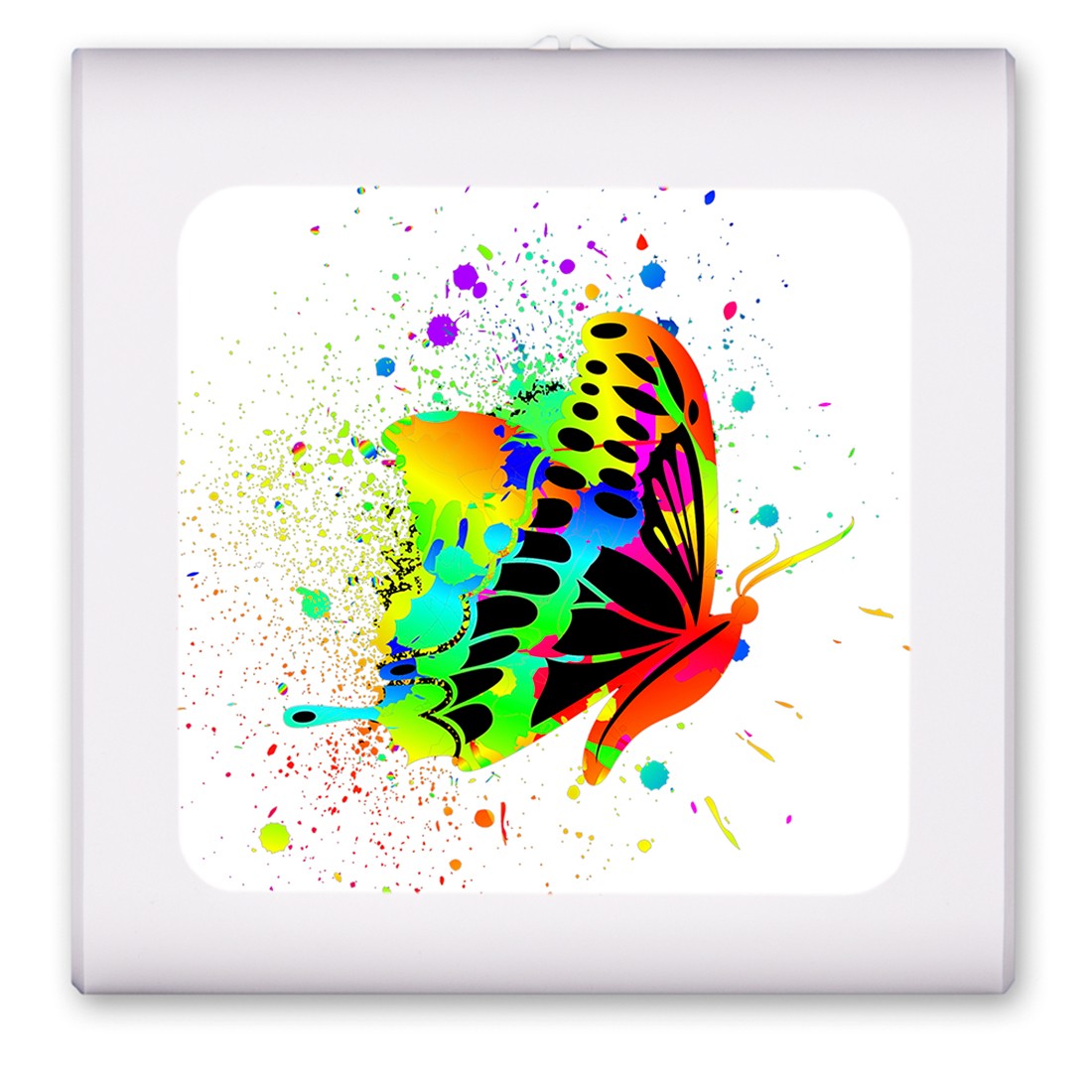 Colorful Butterfly - #2558