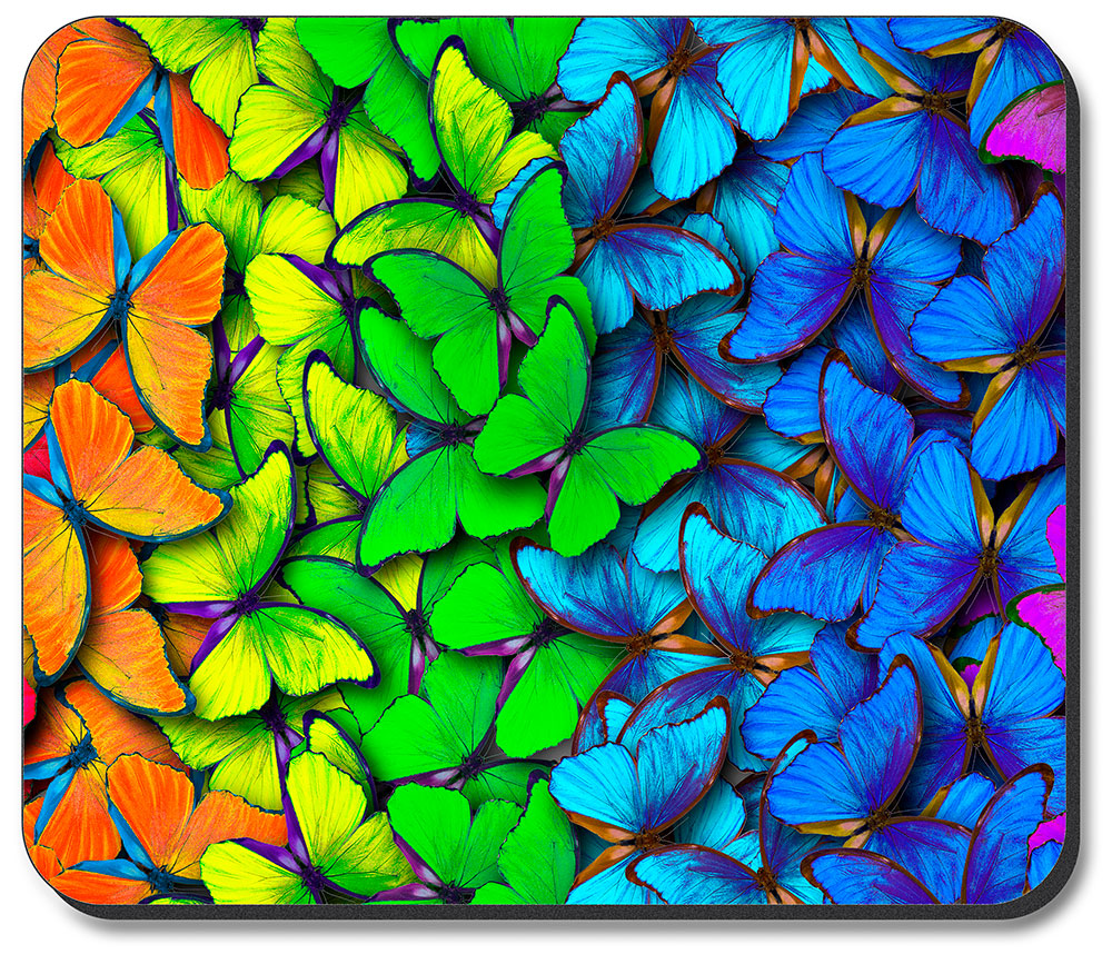 Rainbow Butterflies - #2559