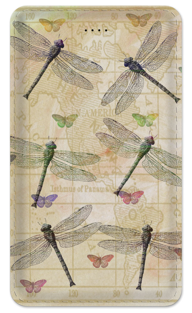 Dragonflies and Butterflies - #257