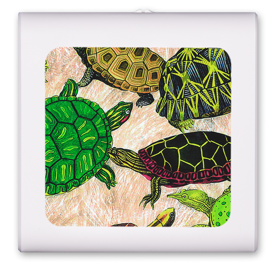 Turtles - #26