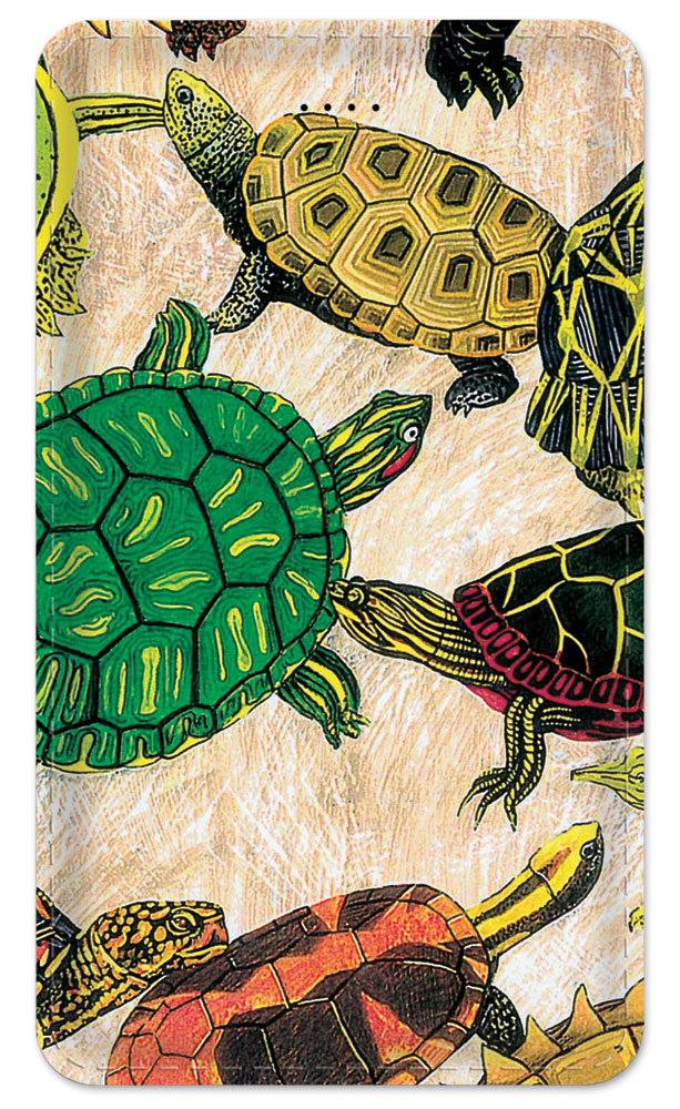Turtles - #26
