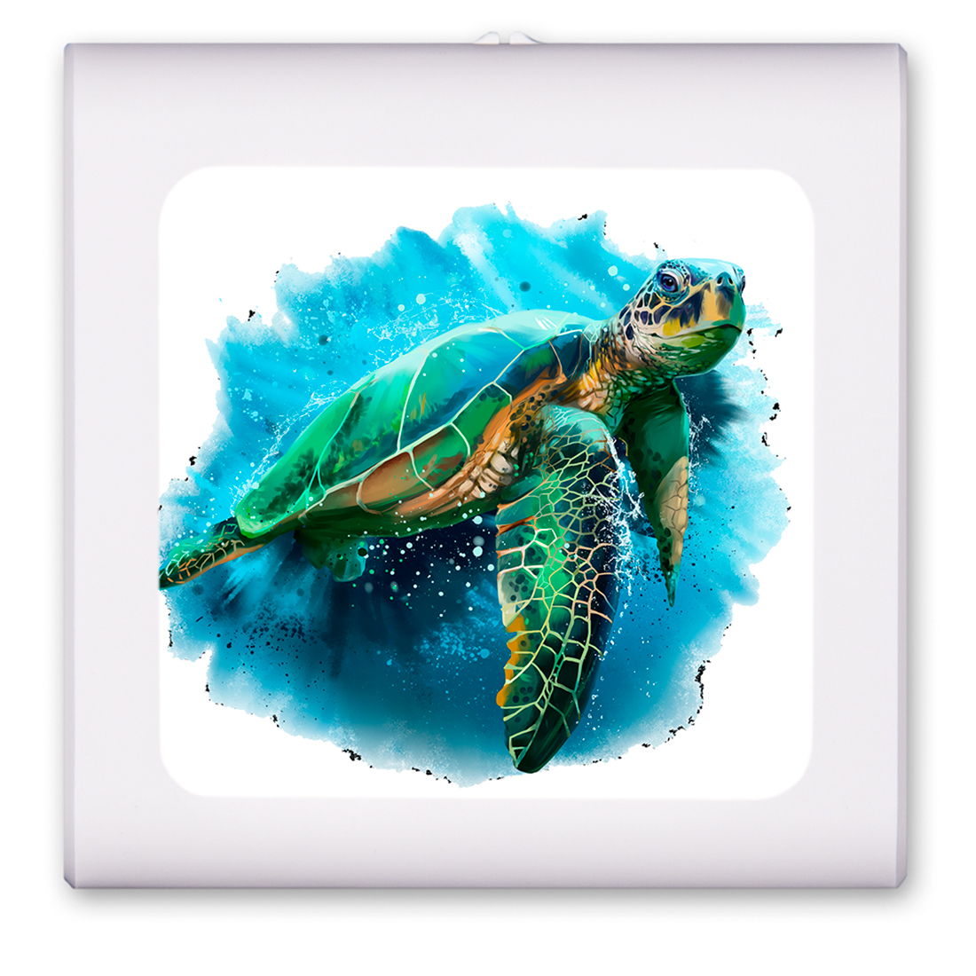 Sea Turtle Painting - #2694