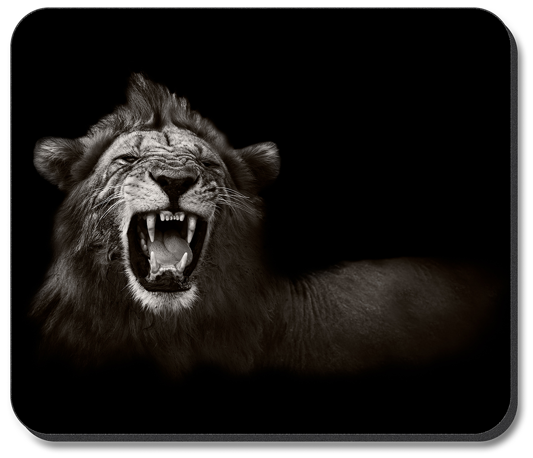 Lion Roaring - #2759