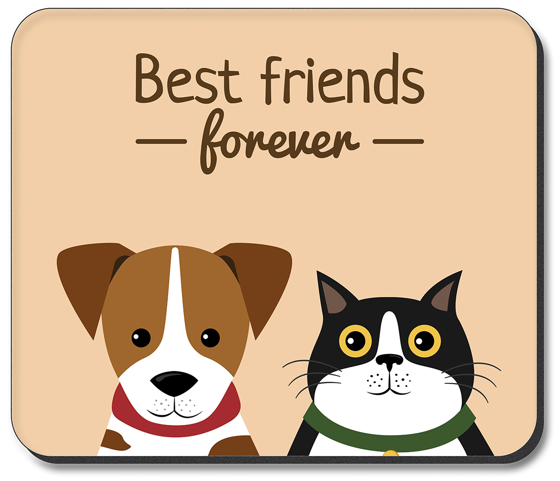 Best Friends Forever - Cat and Dog - #2762