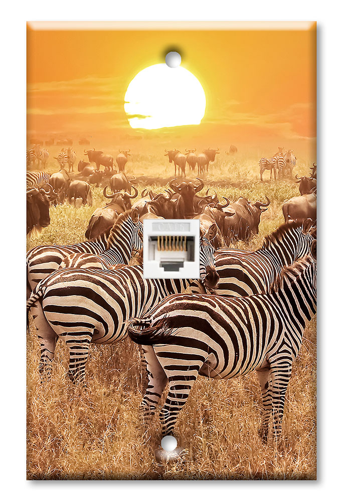 Zebras on the Range - #2765