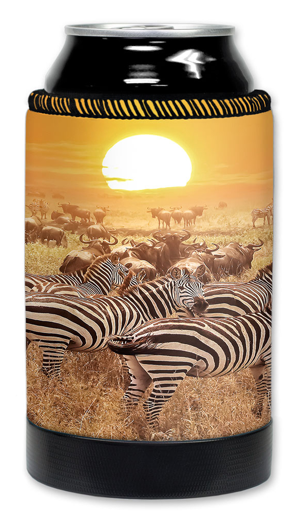 Zebras on the Range - #2765