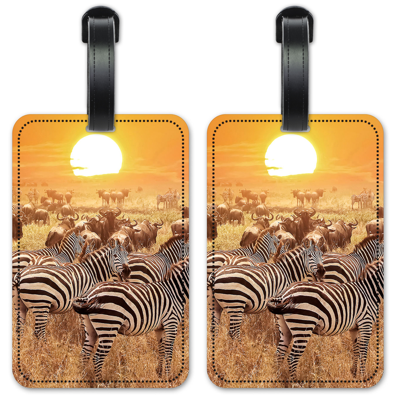 Zebras on the Range - #2765