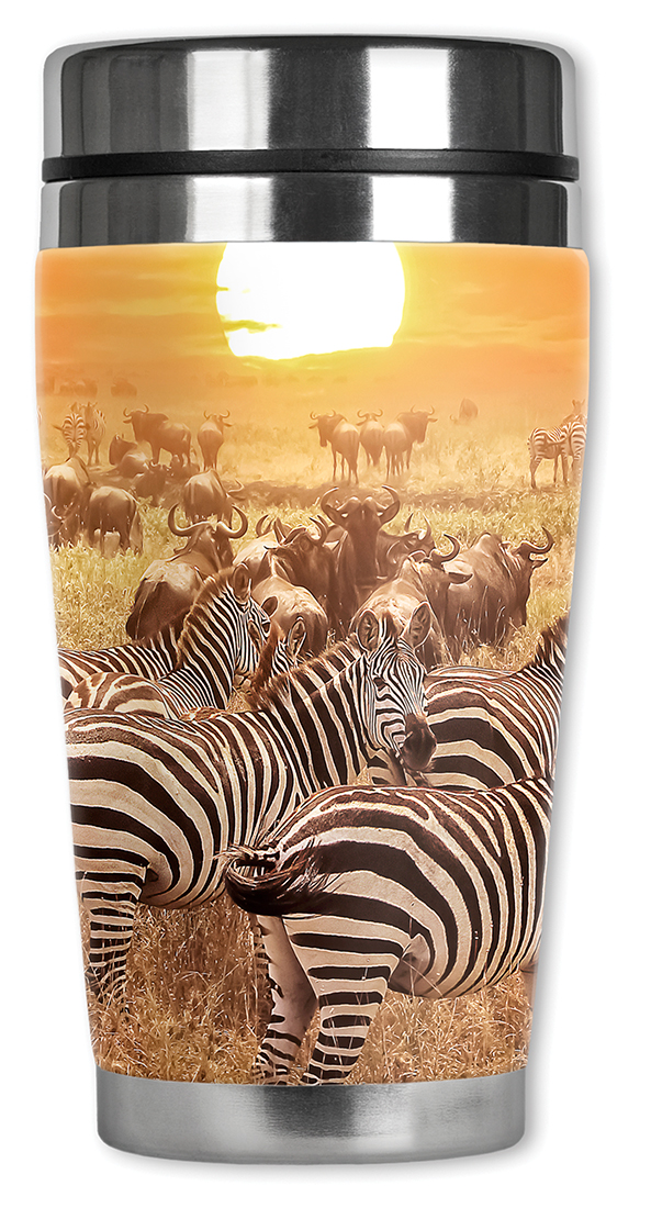 Zebras on the Range - #2765