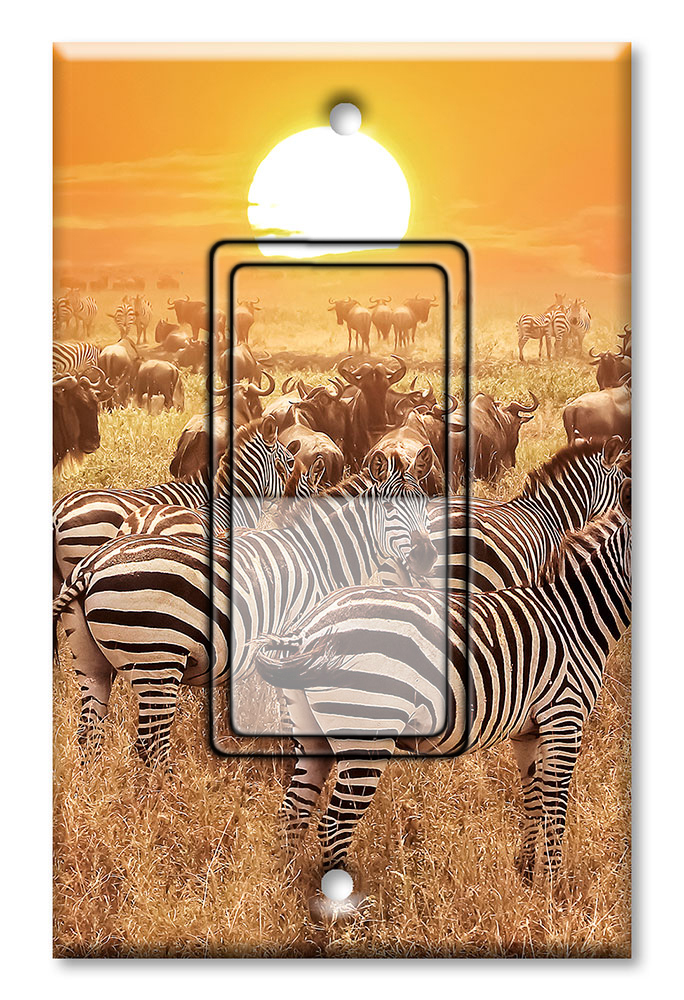 Zebras on the Range - #2765