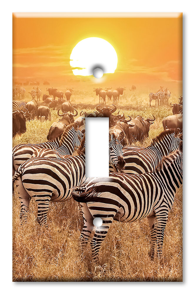 Zebras on the Range - #2765