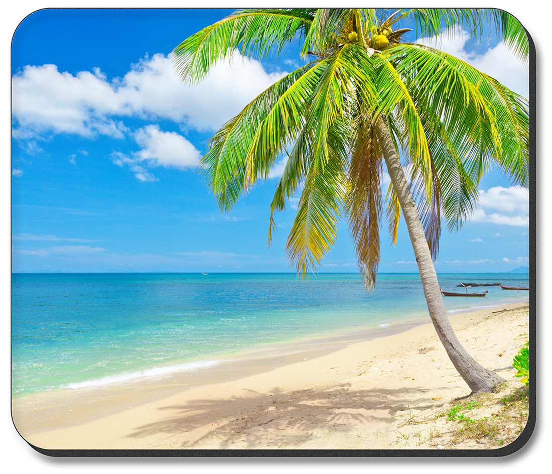 Palm Tree on the Beach - #2813