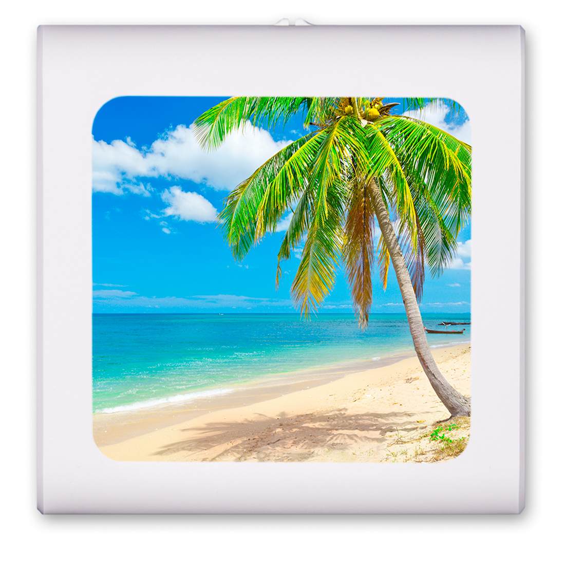 Palm Tree on the Beach - #2813